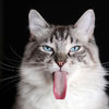 8***@qq.com