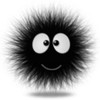 z***@163.com