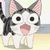 小智智