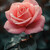 1***@qq.com