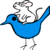 6***@qq.com