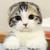 b***@qq.com