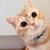 9***@qq.com