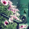 x***@163.com