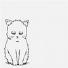9***@qq.com