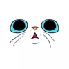 2***@qq.com
