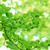9***@qq.com