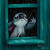 2***@qq.com