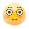 Janssen_zou