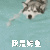 哈里一路亚
