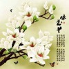 阳光宅女