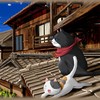 3***@qq.com
