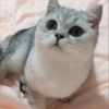 赵婷