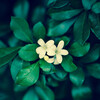 197***@qq.com