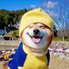 7***@qq.com