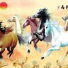 青瑞刘学超