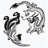 1***@qq.com
