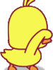 1***@qq.com