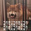 2***@qq.com