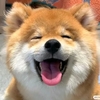 不给糖我就捣蛋