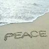 2***@qq.com