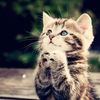 2***@qq.com
