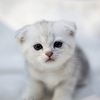 jkh***@foxmail.com