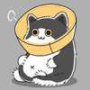 9***@qq.com