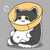 9***@qq.com