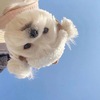 1***@qq.com
