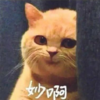 mosslee