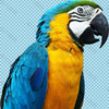 s***@163.com