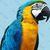 s***@163.com