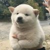 北笙OvO
