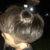h***@qq.com