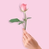 8***@qq.com