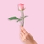 8***@qq.com