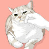 Withoutcat