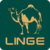 lingesa