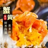 i***@torch-cn.com
