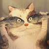 9***@qq.com