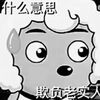 j***@foxmail.com
