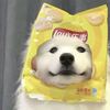 遥遥星辰